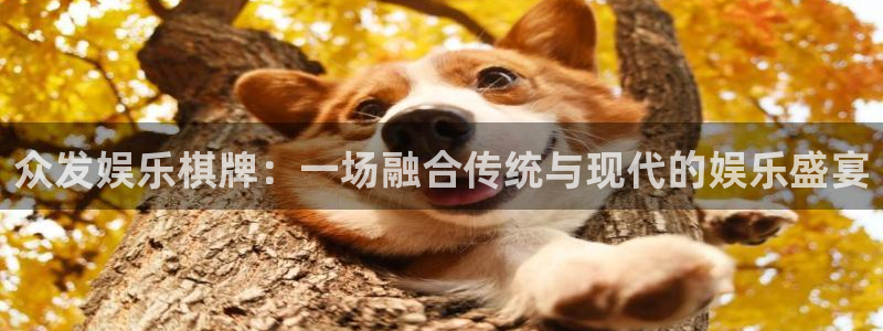富联娱乐注册地址：众发娱乐棋牌：一场融合传统与现代的娱乐盛宴