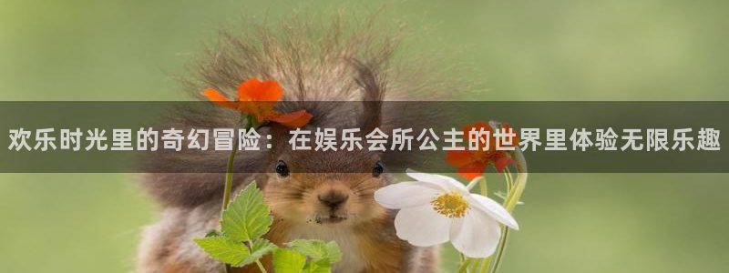富联娱乐代理：欢乐时光里的奇幻冒险：在娱乐会所公主的世界里体验无限乐趣