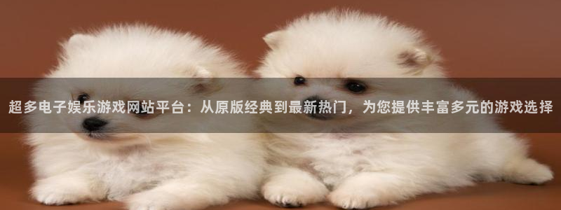 富联娱乐注册地址：超多电子娱乐游戏网站平台：从原版经典到最新热门，为您提供丰富多元的游戏选择